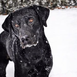 Meet your Posher, Hilary